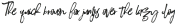 Q?inn Wilmet Script Alternate 4 ttf (400)
