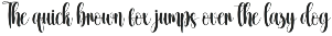 Blushing | Script Font preview