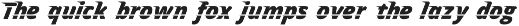 Premium Fonts Collection preview
