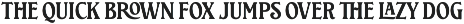 IC Shelby Meadows - Display Serif preview
