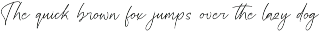 Handcraft Infinites Modern Script preview