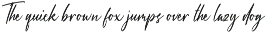 Vienetta Luxury Font Script preview
