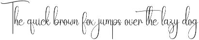 Rainday | Script Font preview