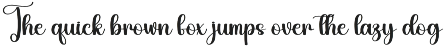 Alphabet | Script Font preview