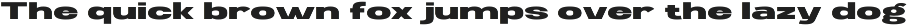Ghosta Neue preview