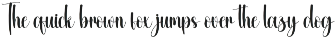 Amsterdam | Script Font preview