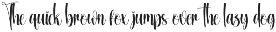 Autography | Script Font preview