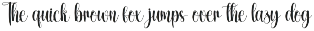 Snowhouse | Script Font preview