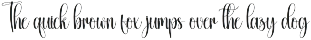 Hollogram | Script Font preview