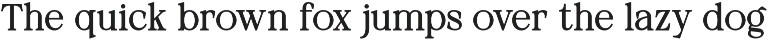 Neutical Serif Font Family (12 Font) preview