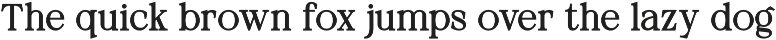 Neutical Serif Font Family (12 Font) preview