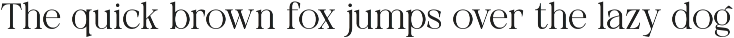 Neutical Serif Font Family (12 Font) preview