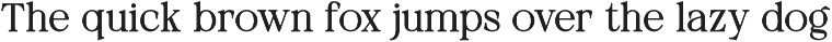 Neutical Serif Font Family (12 Font) preview