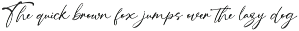 Southwest Partisan Handwriting Font font preview