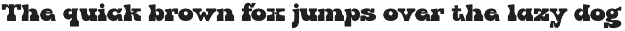 Driks - Serif Retro Font preview