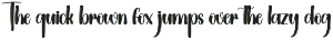 Animal | Script Font preview