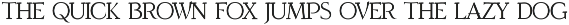 Rivald - Elegant Serif Font preview