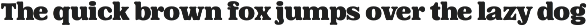 The Polish font preview