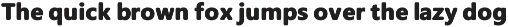 Jecylin Sans Serif Rounded Display font preview