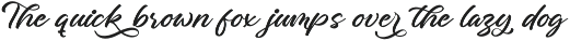 Charity Thomas Bold Calligraphy preview