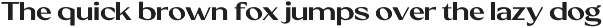 North Roland - Display Sans Serif font preview