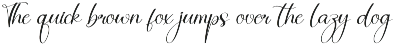 Autumn | Script Font preview