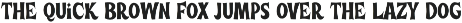 Winter May - All Caps Fun Serif Font font preview