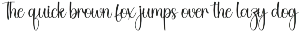 Homestay | Script Font font preview