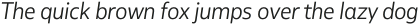 MultipleSans Alt III Light It otf (300)