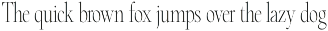 Merbina – Elegant Serif Typeface preview