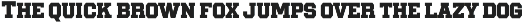 College Vista 34 - 9 Fonts preview