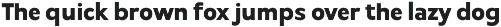 Itagi Sans - Modern Humanist Font preview