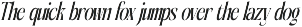 Aligner Tall Modern Serif Display preview