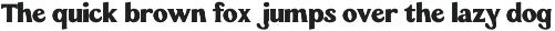 Wellfon - Modern Retro Serif Font preview