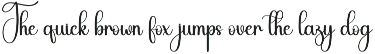 Bighome | Script Font preview