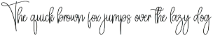 Designer Calligraph | Script Font preview