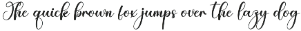 Seasoning | Script Font preview