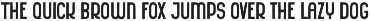 RAMPART - Vintage Sans Serif Font preview