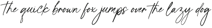 Ideas Script Font font preview