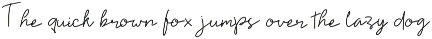 Elitta Minimalist Script Font preview