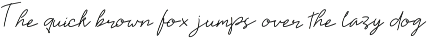 Elitta Minimalist Script Font preview