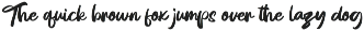 Demorya Bold Script Font preview