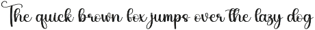 Sandwich | Script Font preview