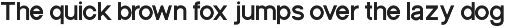 Silenon Sans Serif Font Display preview