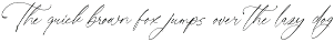 Sunlite Kinetic Stylish Calligraphy preview