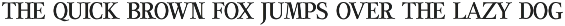 Miecle Wiklen - Elegant Serif Font preview