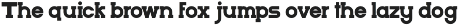 Beast Troper Military Serif preview