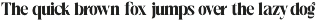 Ralite - Modern Serif Display Font preview