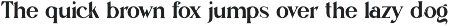 Arina Ligature Serif Typeface preview