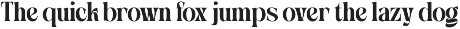 Blomage - Bold Serif Font preview